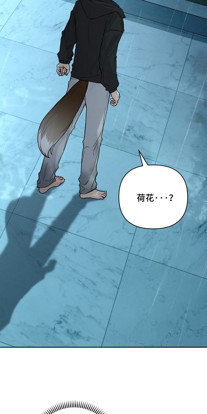 狐祸相依漫画,第16章：全都死了2图