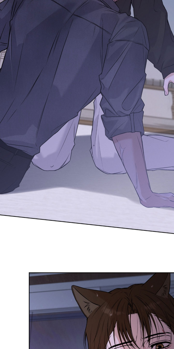 狐祸相依漫画,第17章：看着我2图