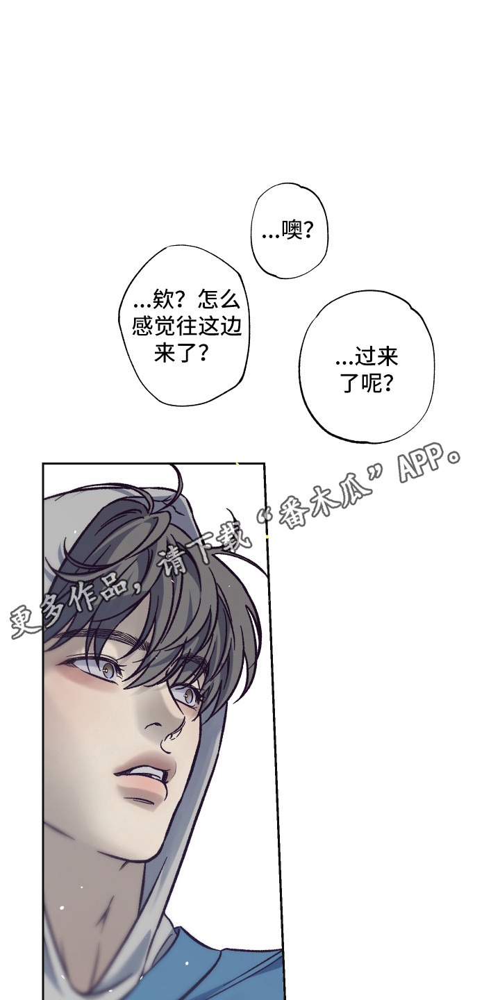 马赛克学长漫画,第11章：请我吃饭4图