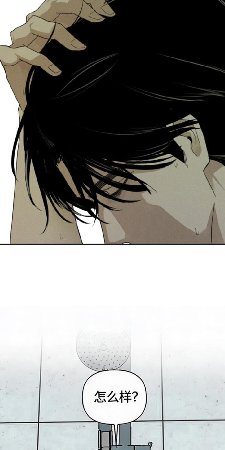 坠落的特技漫画,第14章：不是白来的5图