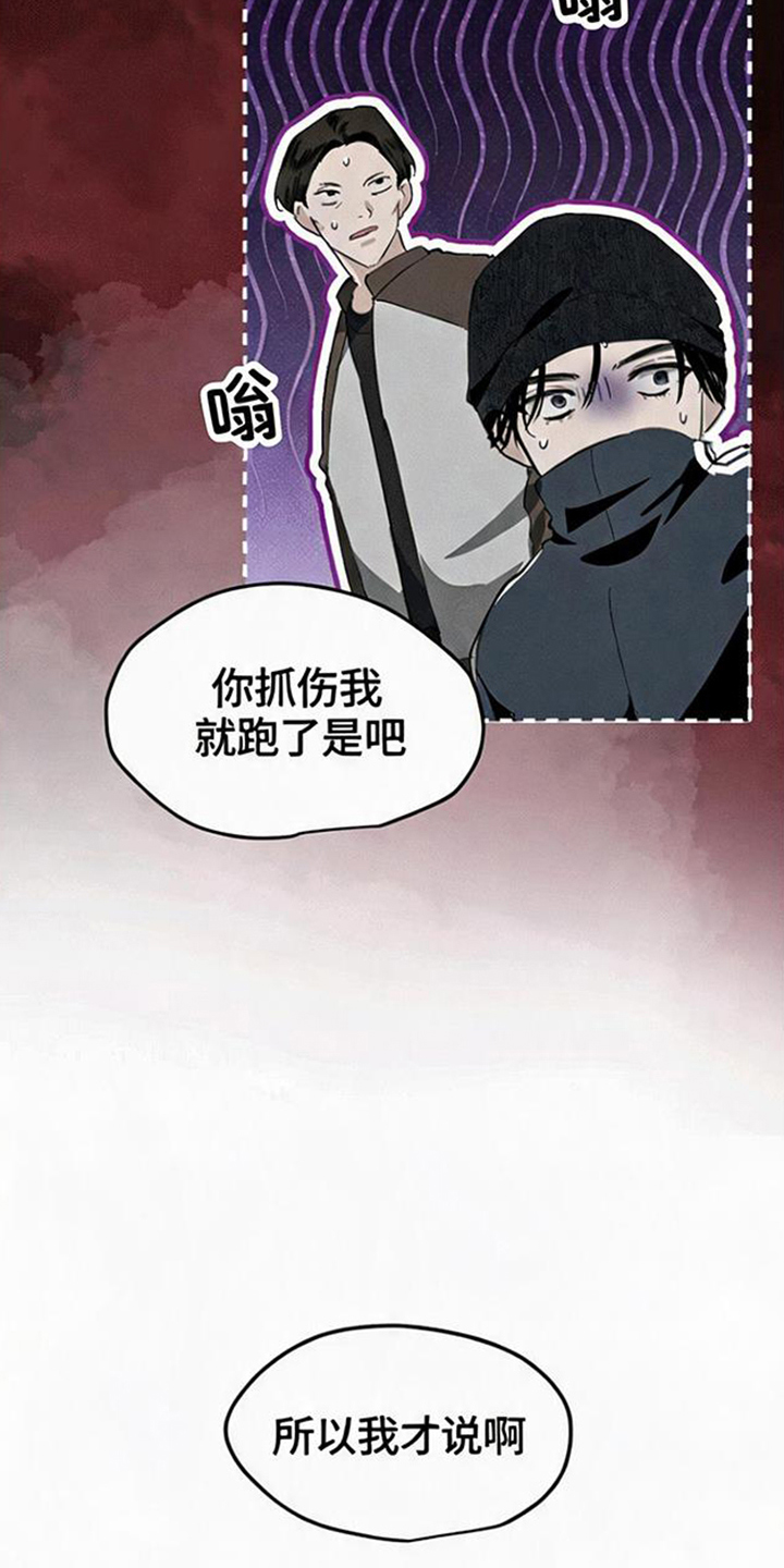 坠落的特技漫画,第6章：好好躲着4图