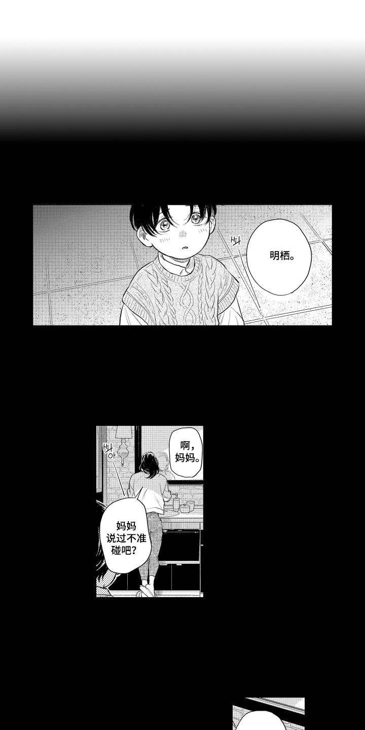 少爷的独立战争漫画,第13章：是谁1图
