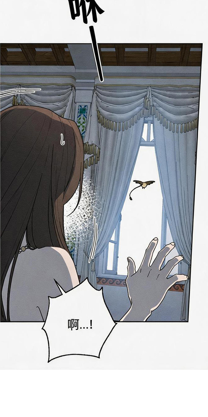 倾城伪妆漫画,第19章：怪鸟3图