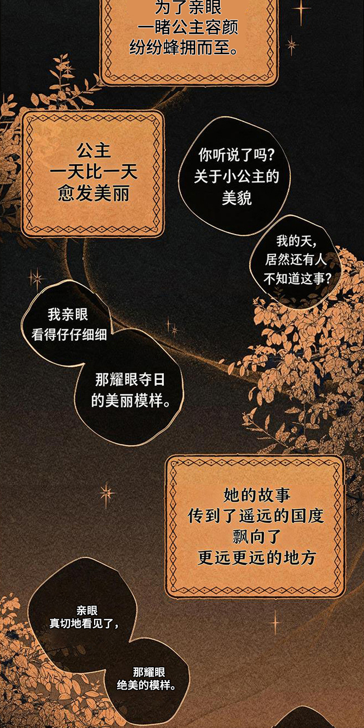倾城伪妆漫画,第1章：最美之人5图