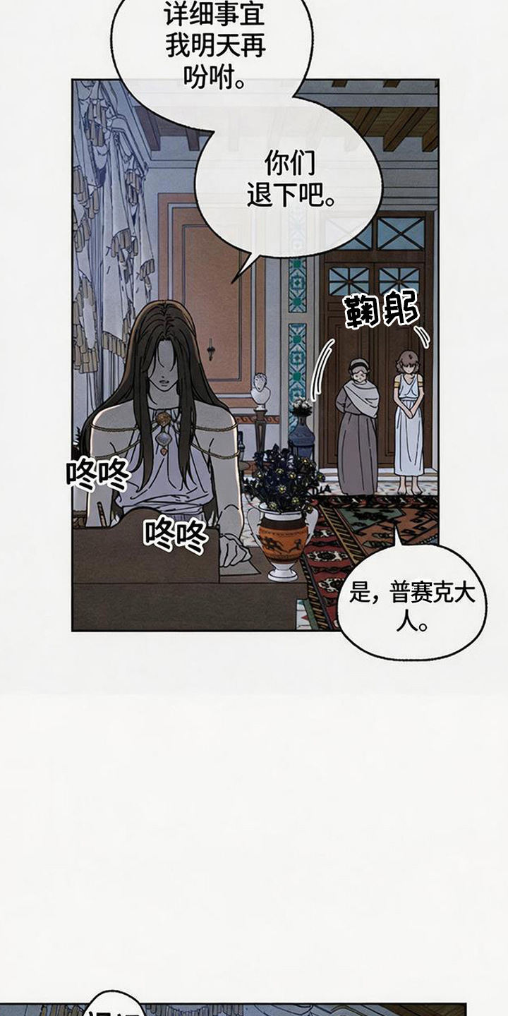 倾城伪妆漫画,第19章：怪鸟4图