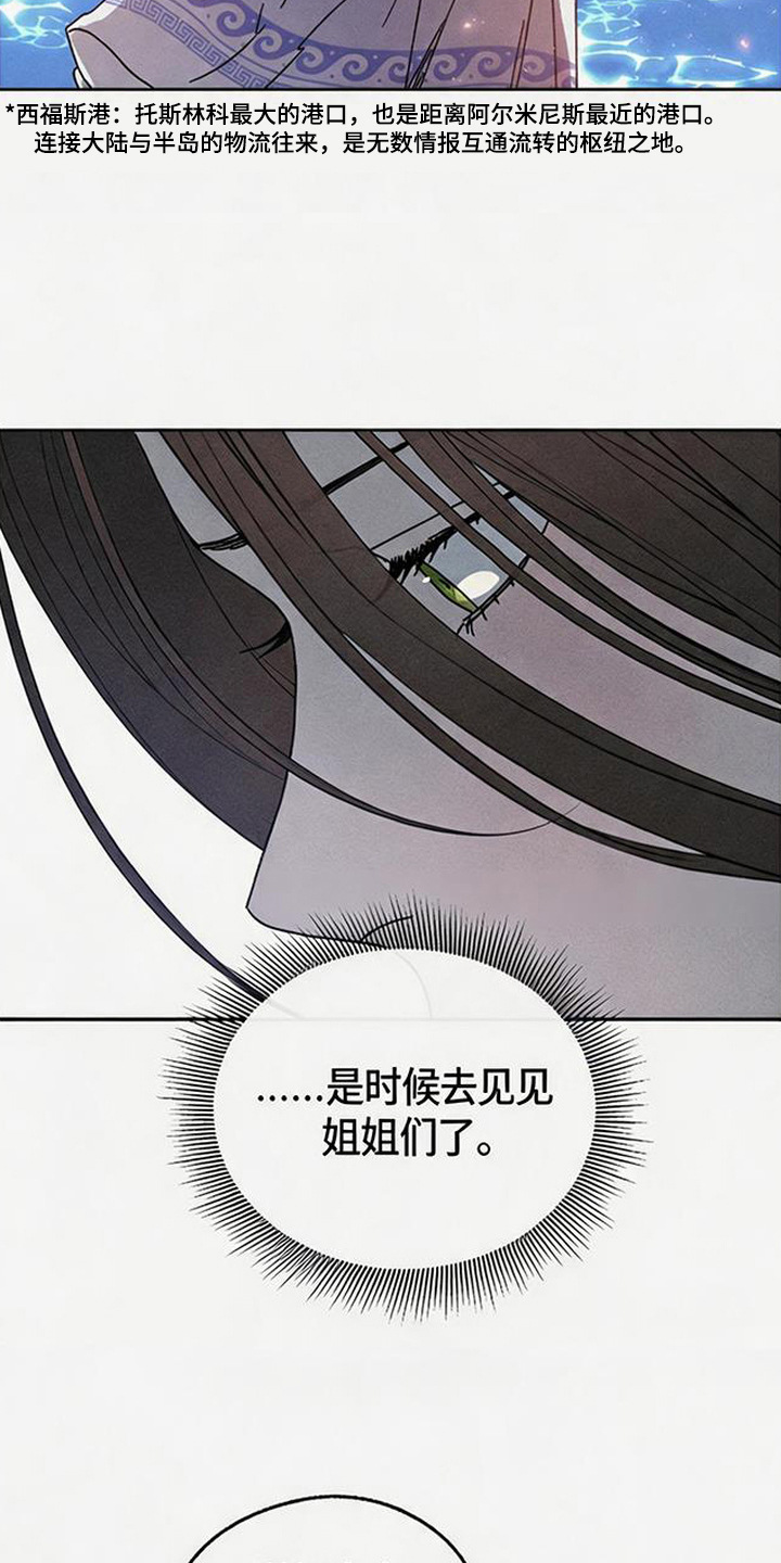 倾城伪妆漫画,第19章：怪鸟3图