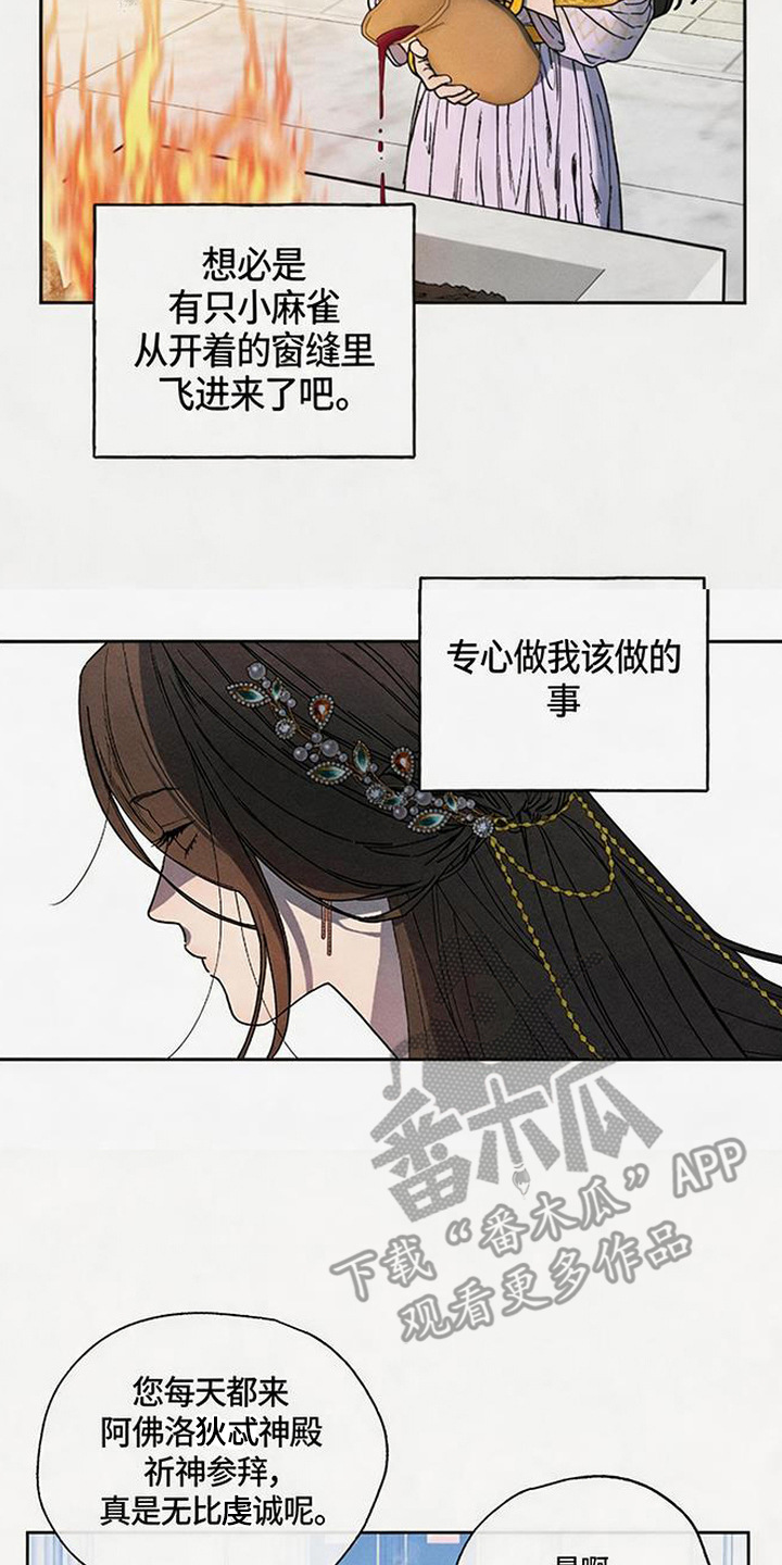 倾城伪妆漫画,第3章：唯一目标5图