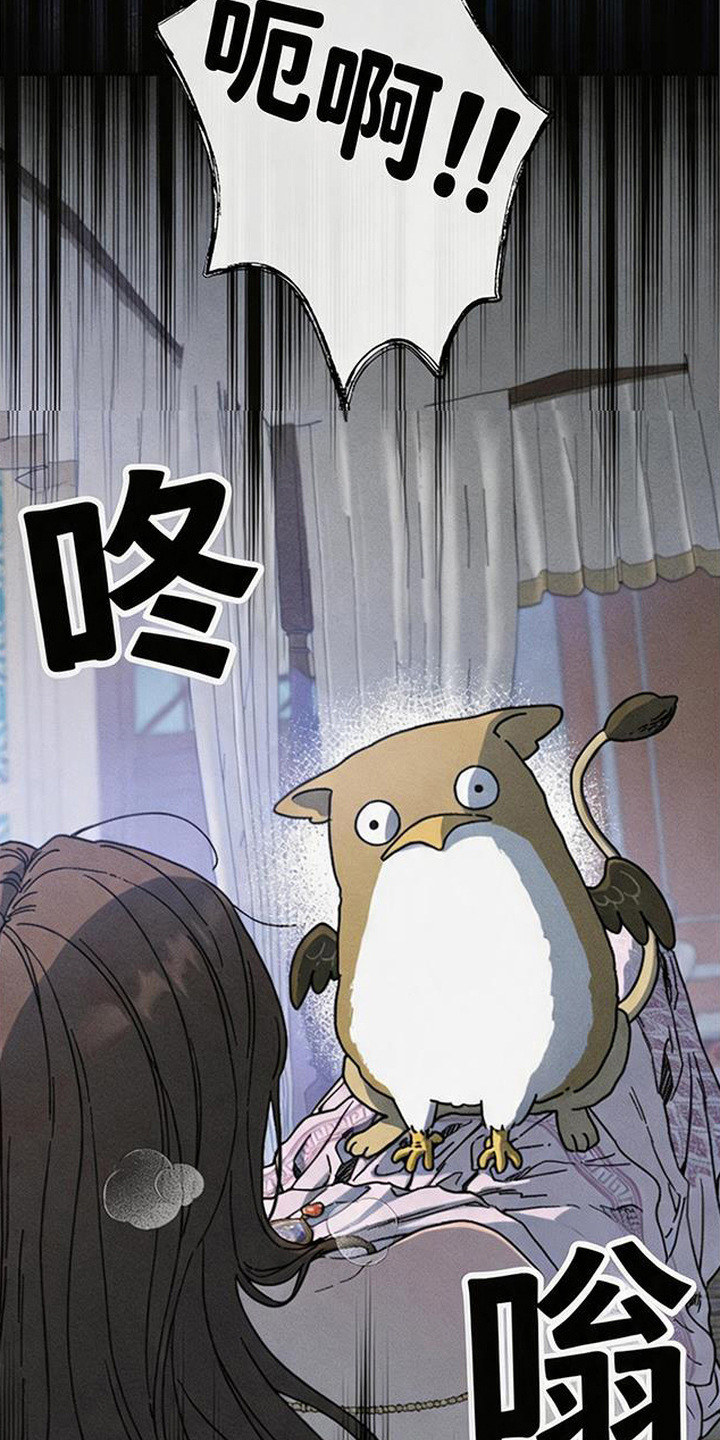 倾城伪妆漫画,第19章：怪鸟3图