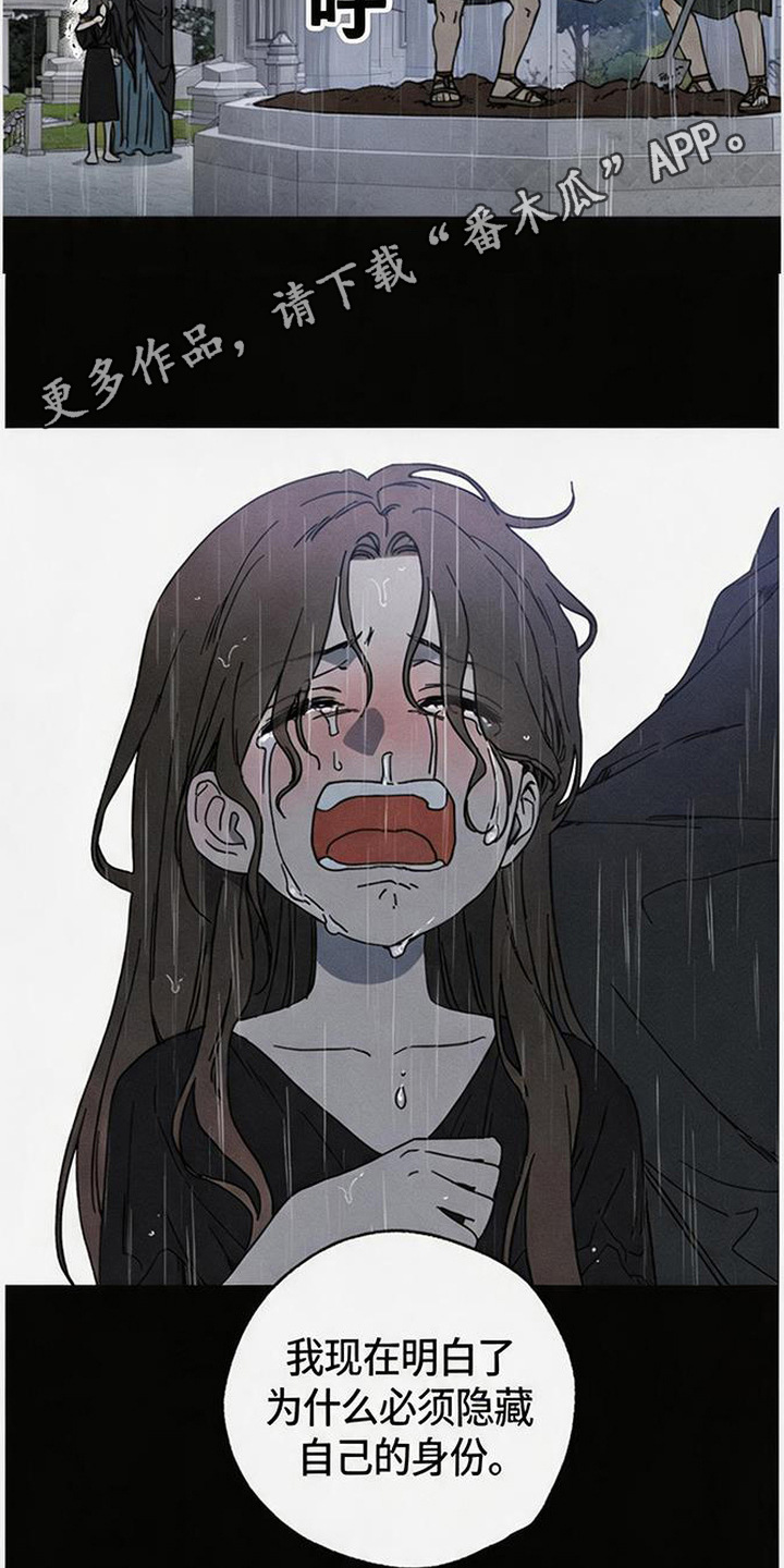 倾城伪妆漫画,第21章：血债4图