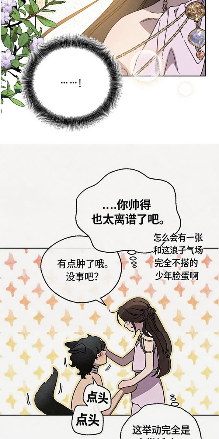 倾城伪妆漫画,第15章：回报4图