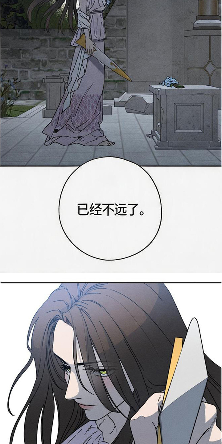 倾城伪妆漫画,第21章：血债5图