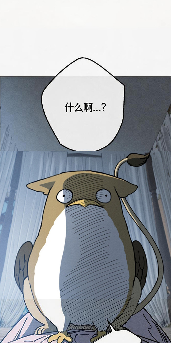 倾城伪妆漫画,第19章：怪鸟5图