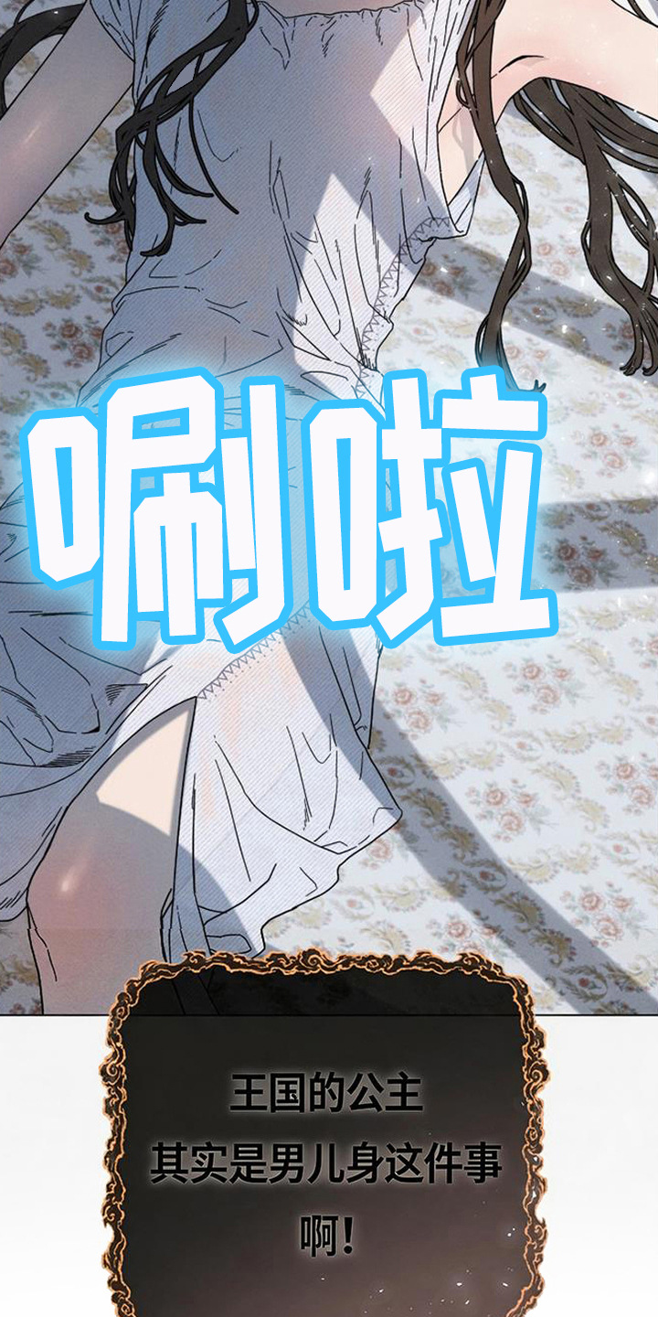 倾城伪妆漫画,第1章：最美之人3图