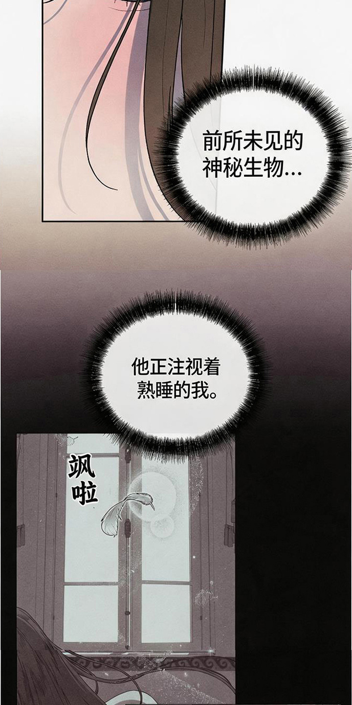 倾城伪妆漫画,第20章：深夜外出3图