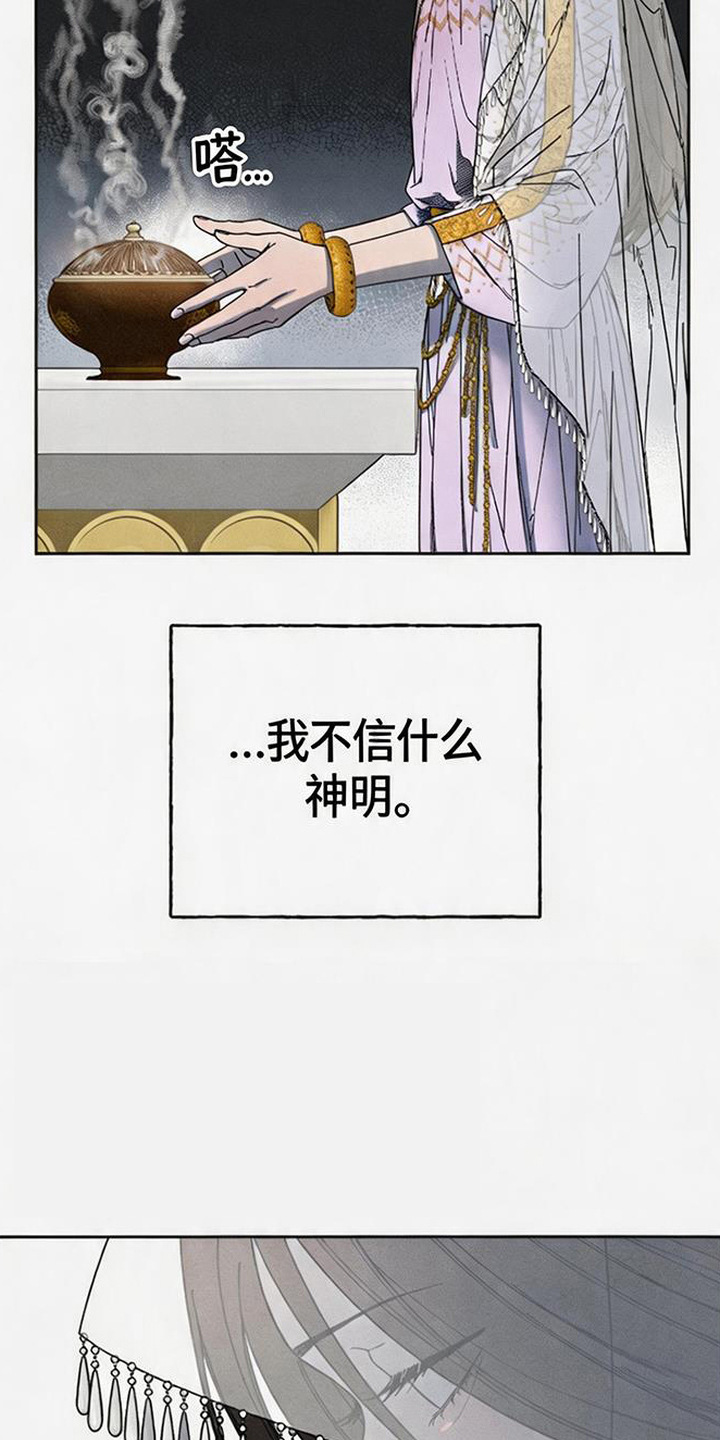 倾城伪妆漫画,第3章：唯一目标5图