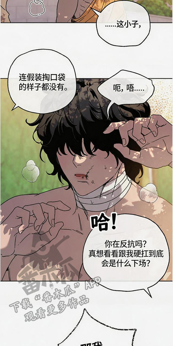 倾城伪妆漫画,第14章：出手相助5图