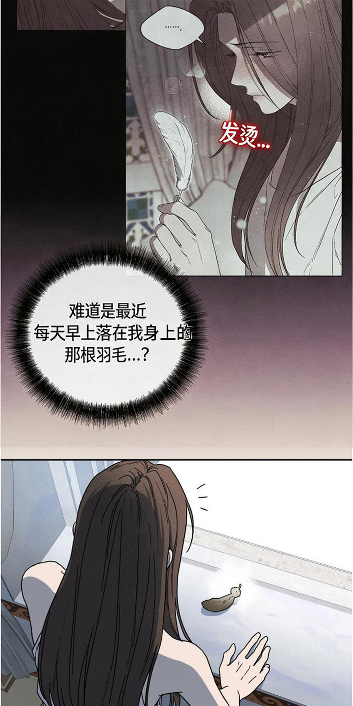 倾城伪妆漫画,第20章：深夜外出4图