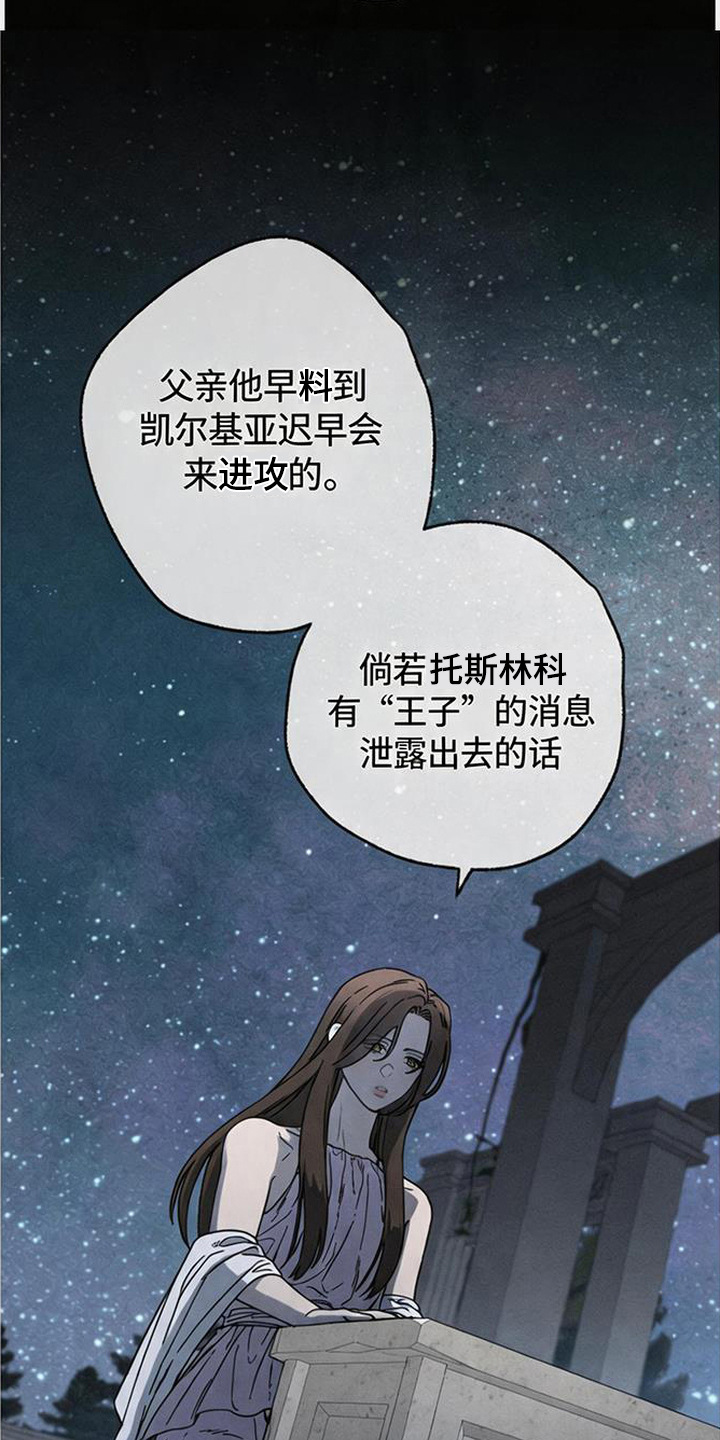 倾城伪妆漫画,第21章：血债5图