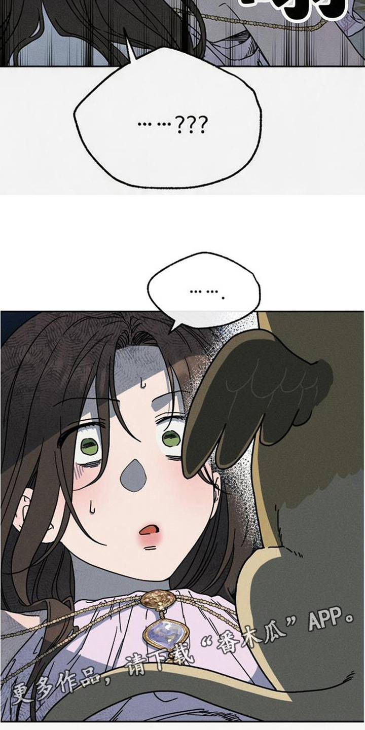 倾城伪妆漫画,第19章：怪鸟4图