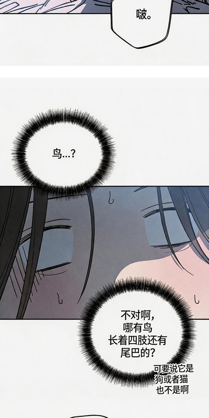 倾城伪妆漫画,第19章：怪鸟1图