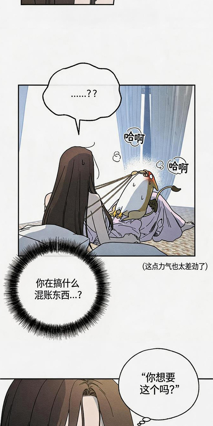 倾城伪妆漫画,第19章：怪鸟5图