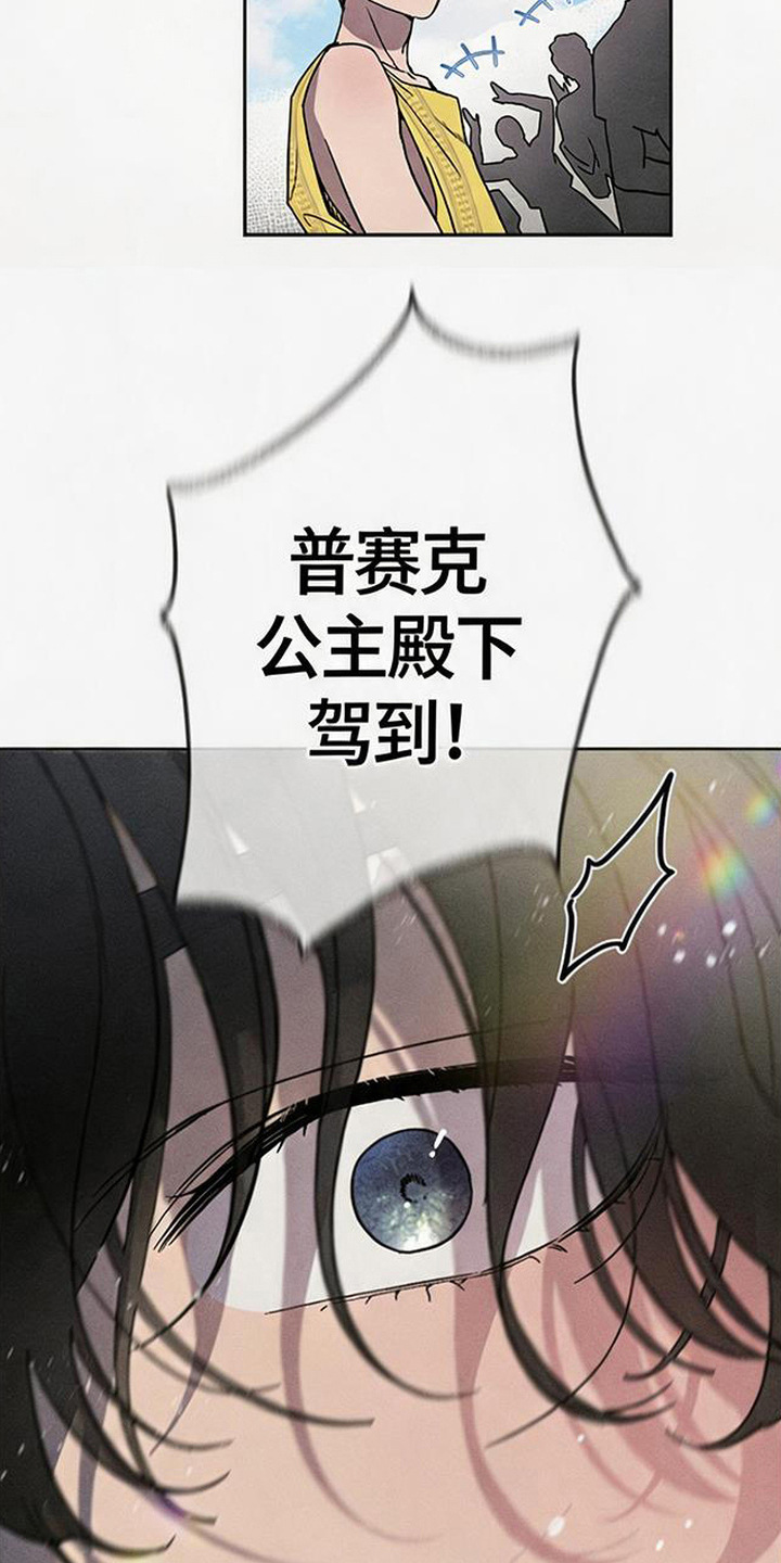倾城伪妆漫画,第10章：流浪乐师3图