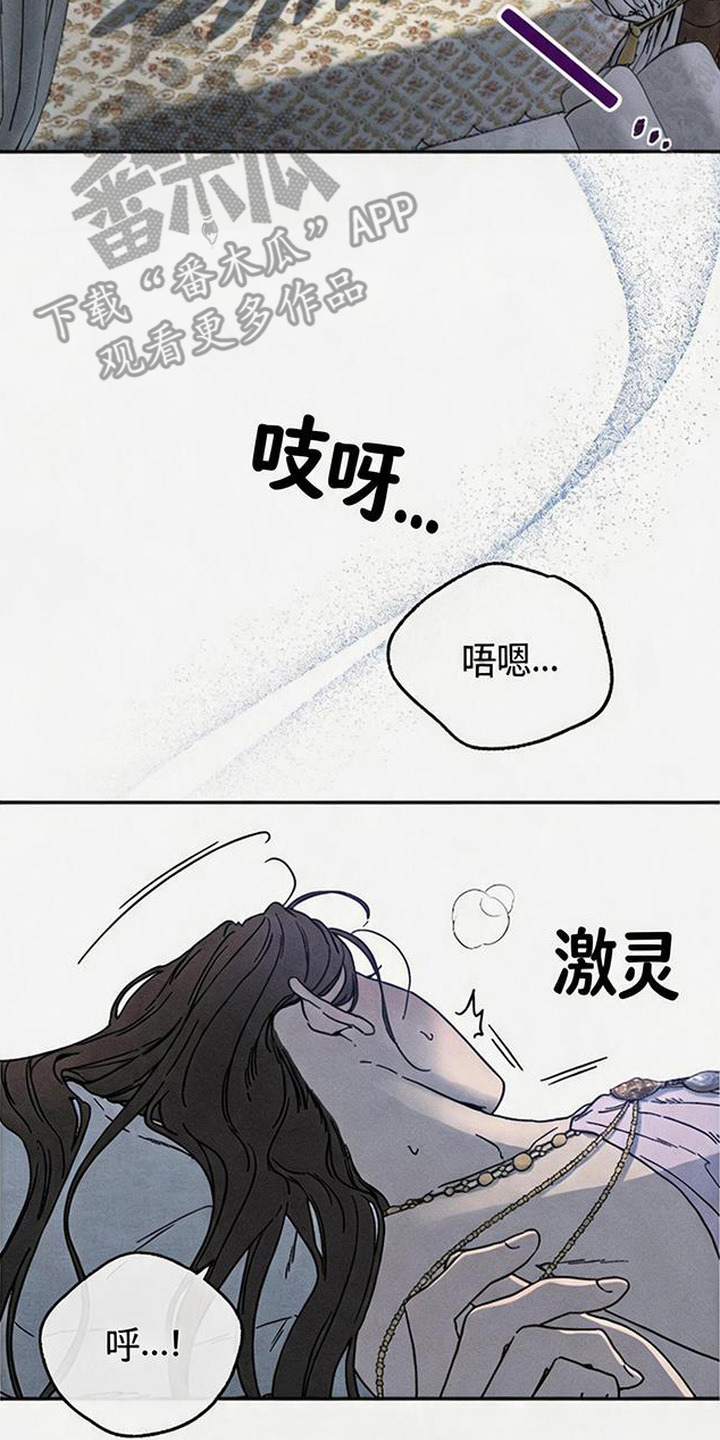 倾城伪妆漫画,第19章：怪鸟5图
