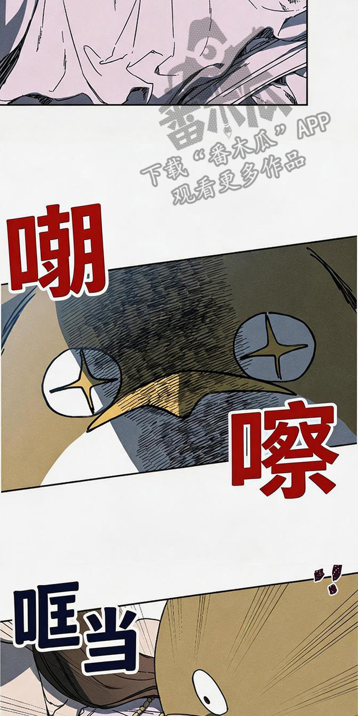 倾城伪妆漫画,第19章：怪鸟3图