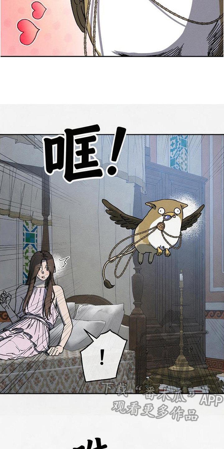 倾城伪妆漫画,第19章：怪鸟2图