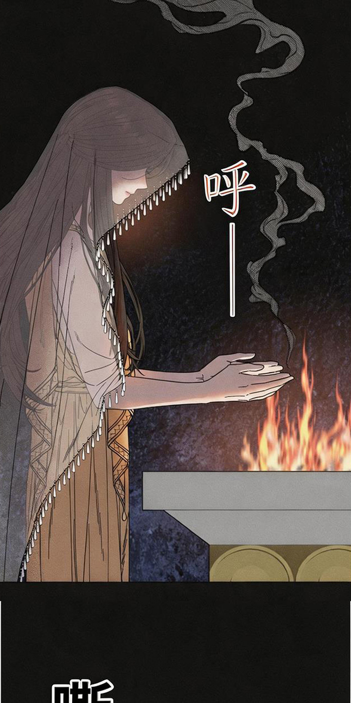 倾城伪妆漫画,第4章：伪王1图