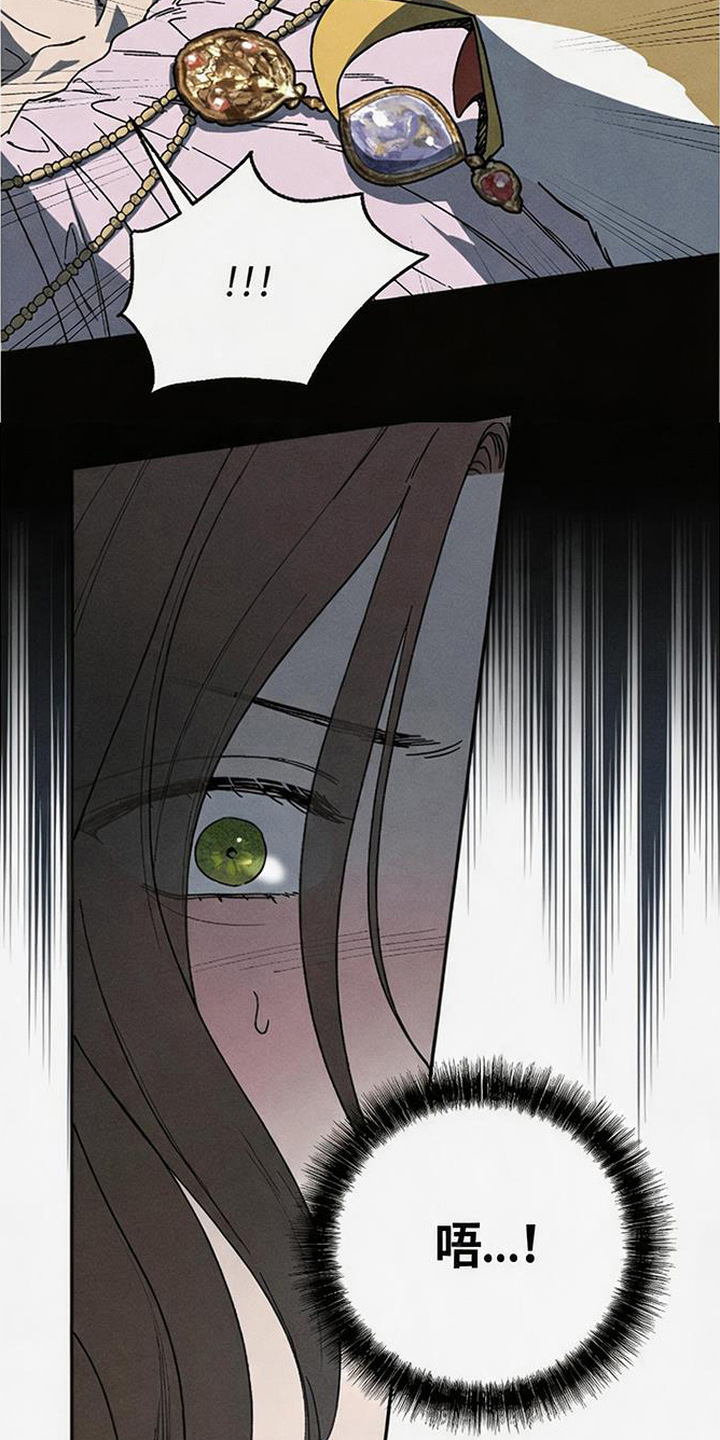 倾城伪妆漫画,第19章：怪鸟4图