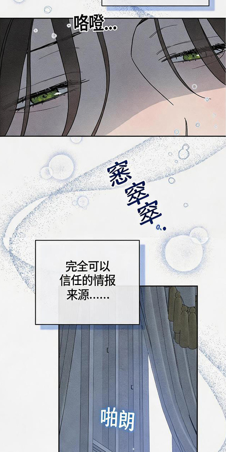 倾城伪妆漫画,第19章：怪鸟3图