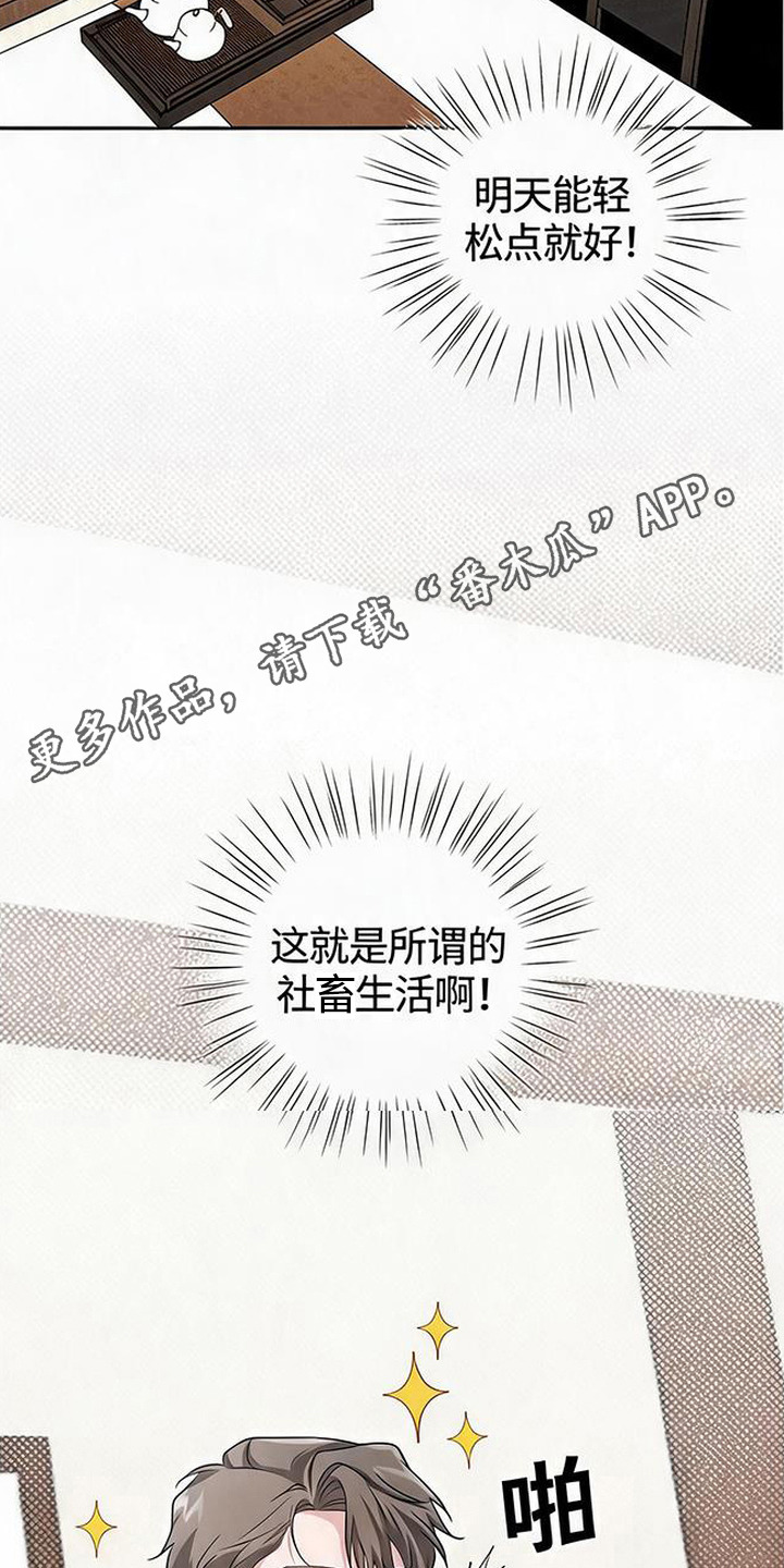 被盯上的夜漫画,第15章：大嫂1图