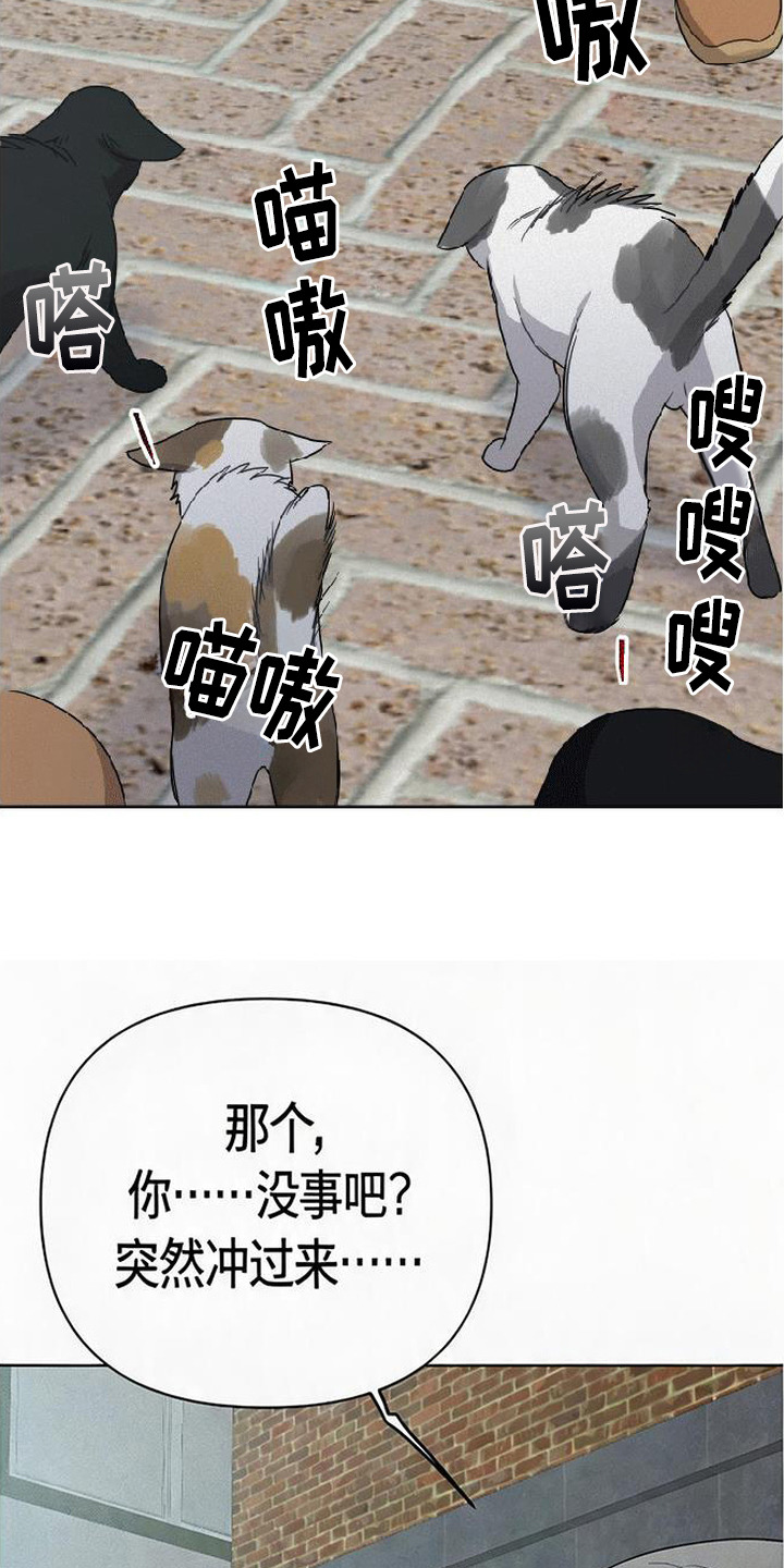 捡来的深渊漫画,第5章：炸毛2图