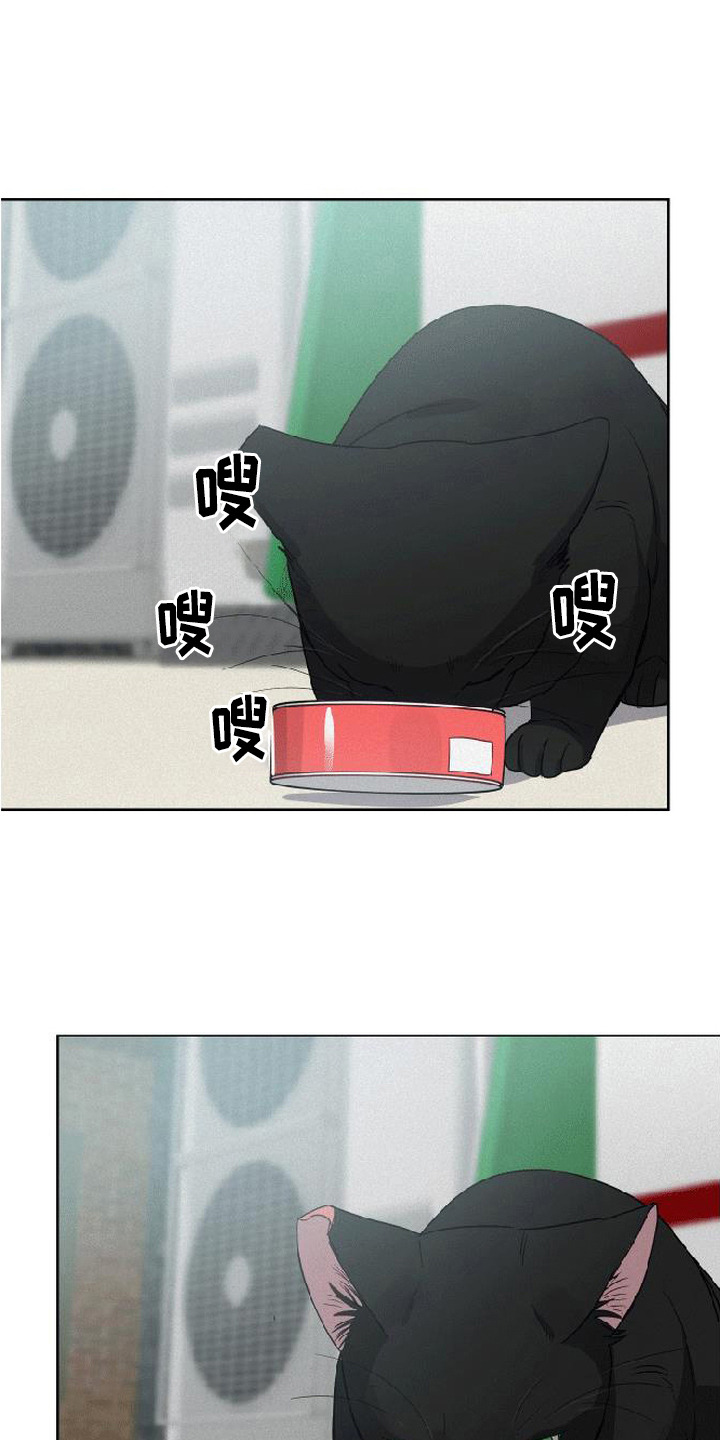捡来的深渊漫画,第5章：炸毛1图