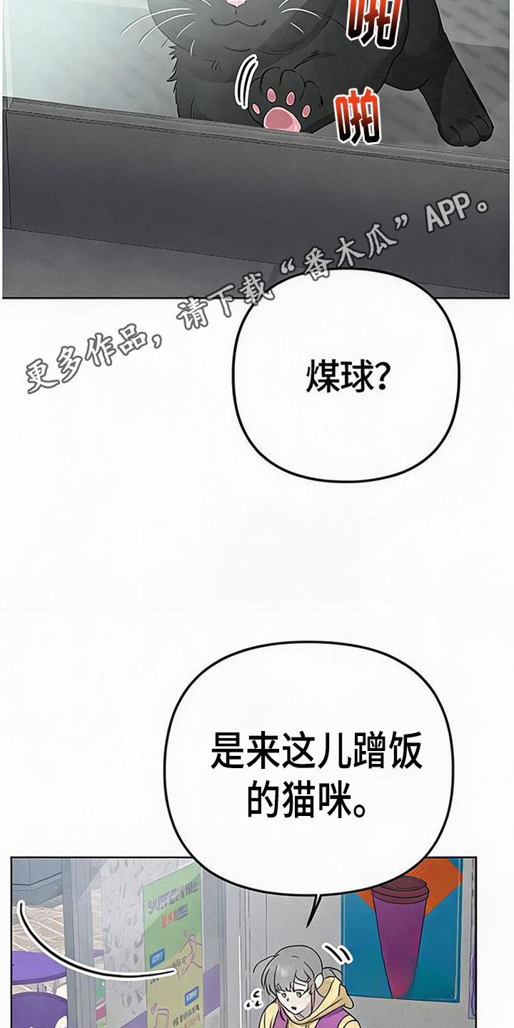 捡来的深渊漫画,第4章：猫咪4图