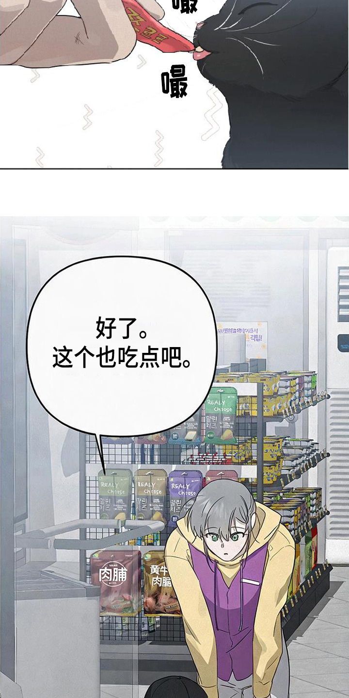 捡来的深渊漫画,第4章：猫咪1图