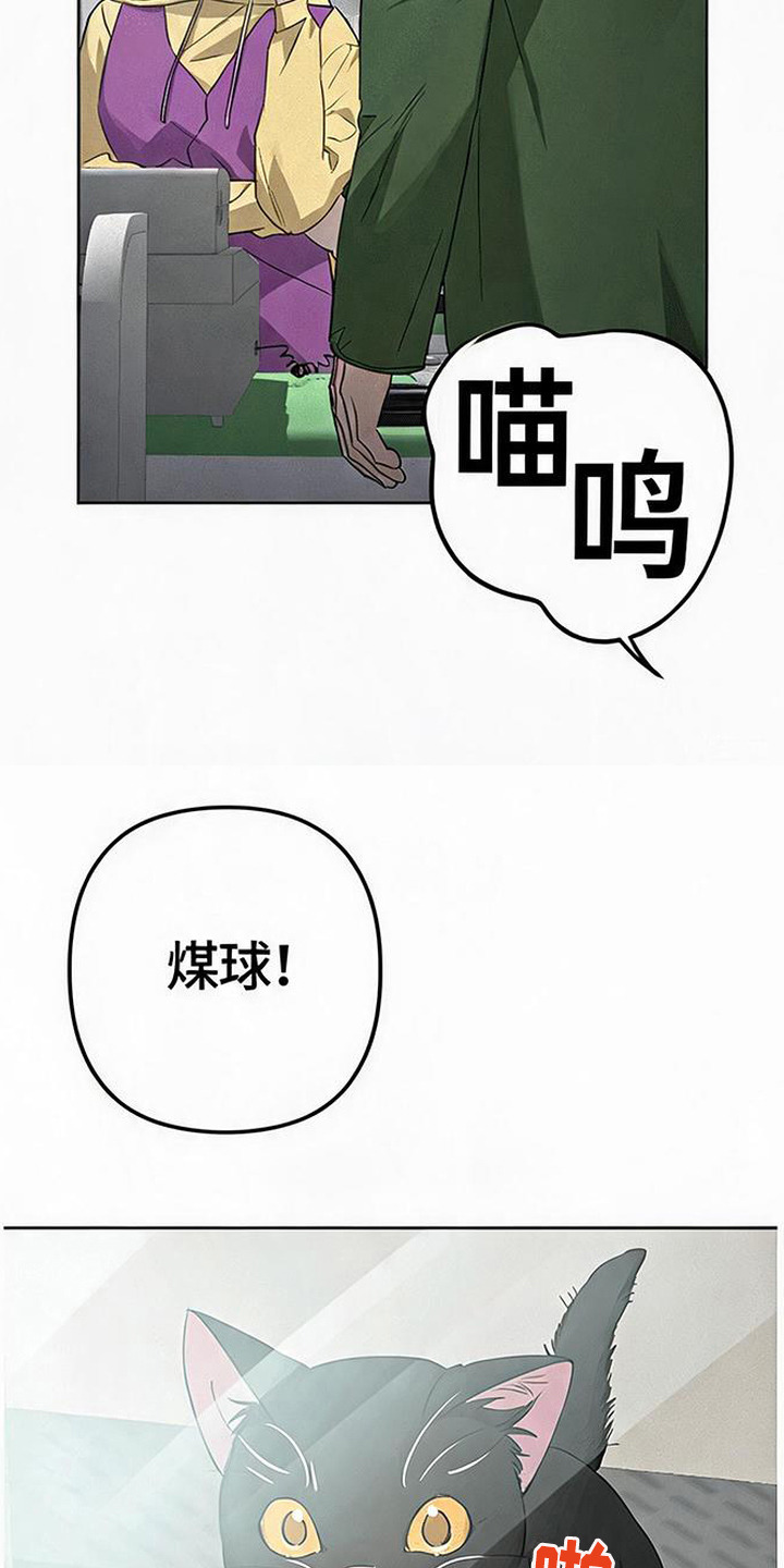 捡来的深渊漫画,第4章：猫咪3图