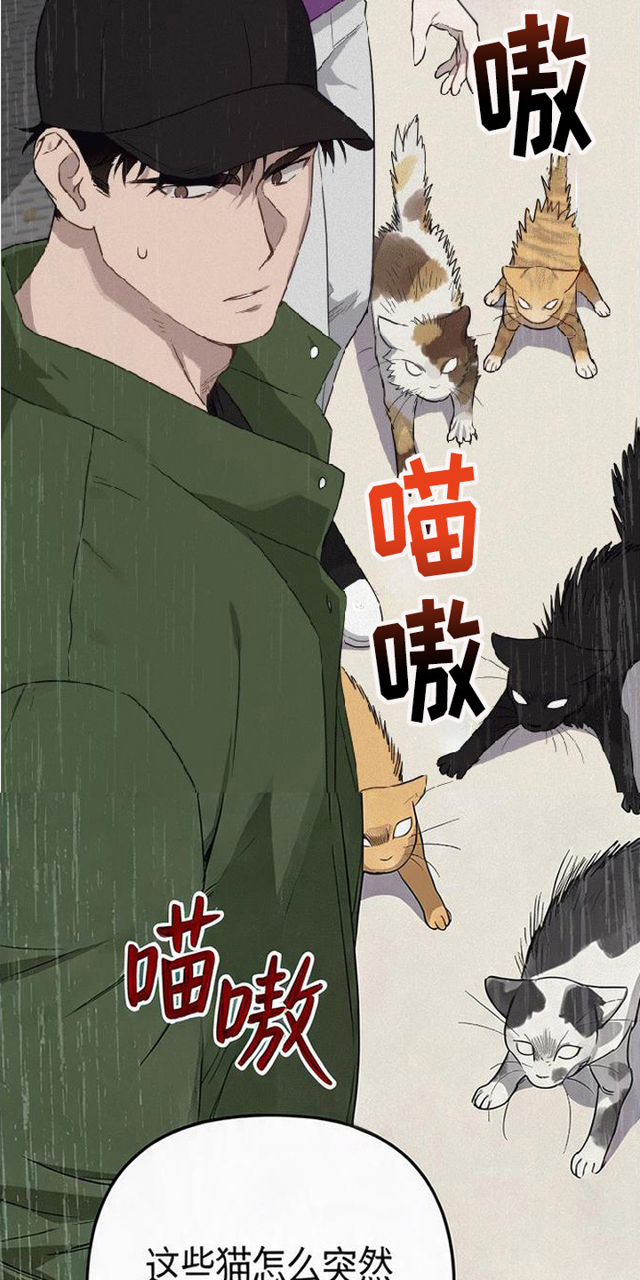 捡来的深渊漫画,第5章：炸毛4图