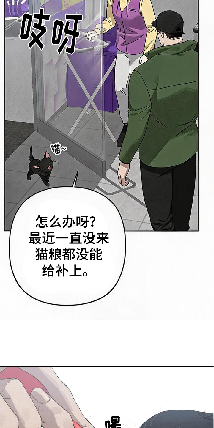 捡来的深渊漫画,第4章：猫咪5图