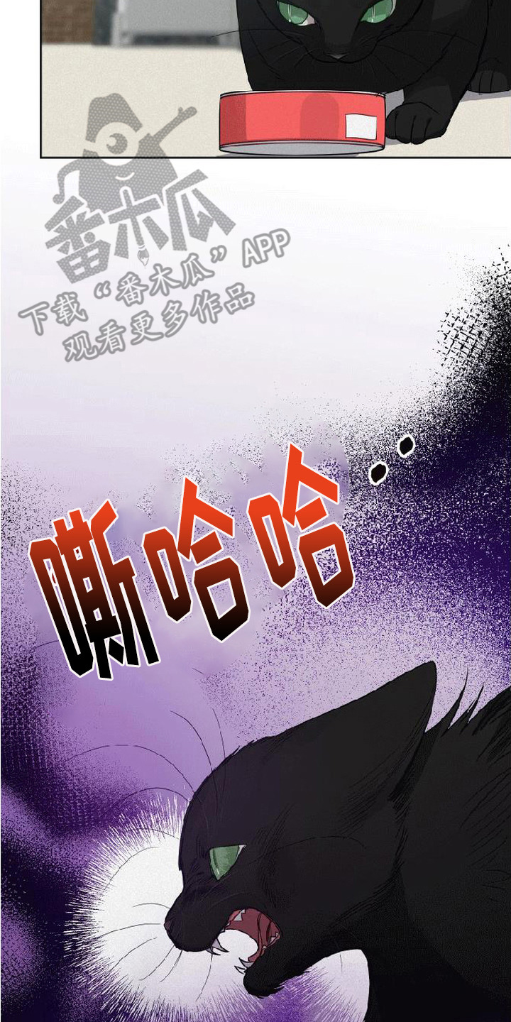 捡来的深渊漫画,第5章：炸毛2图
