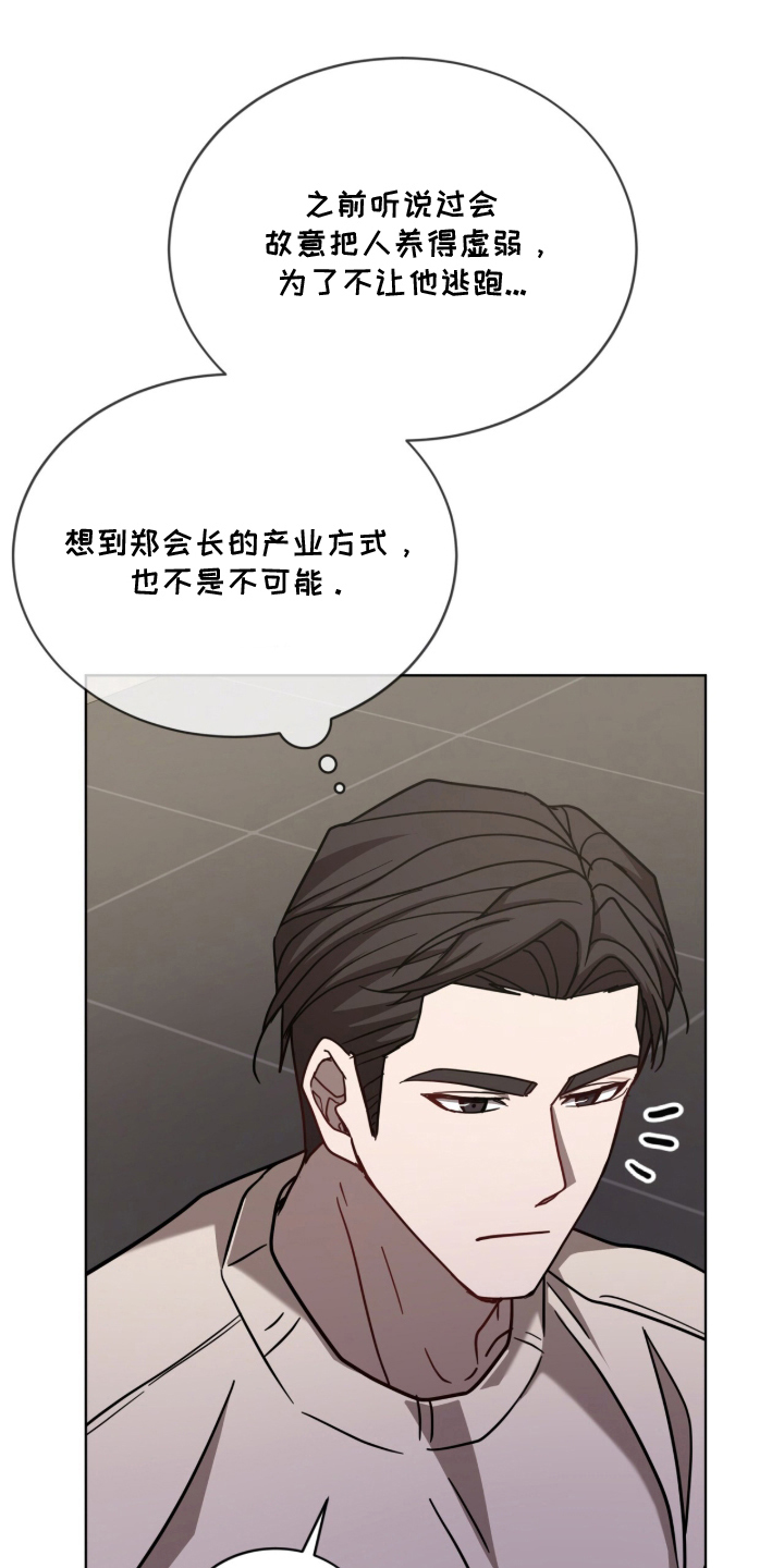 被驯养的商品漫画,第31章：想着我吗2图