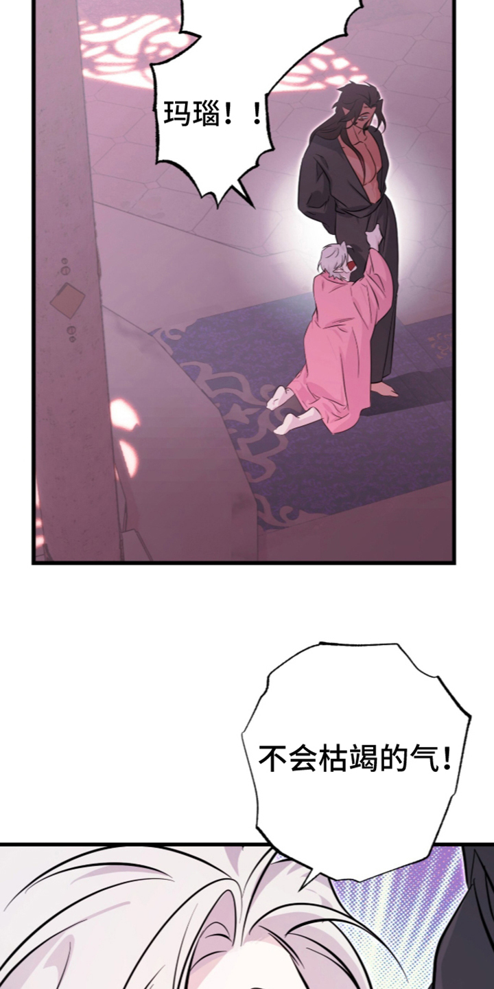吃掉我的那条龙漫画,第11章：放弃更开心（完结）5图
