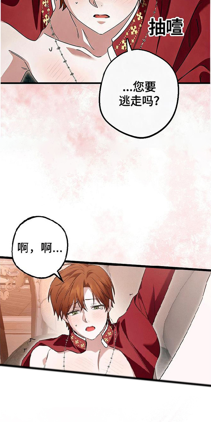 掌心祭司漫画,第8章：负责任5图