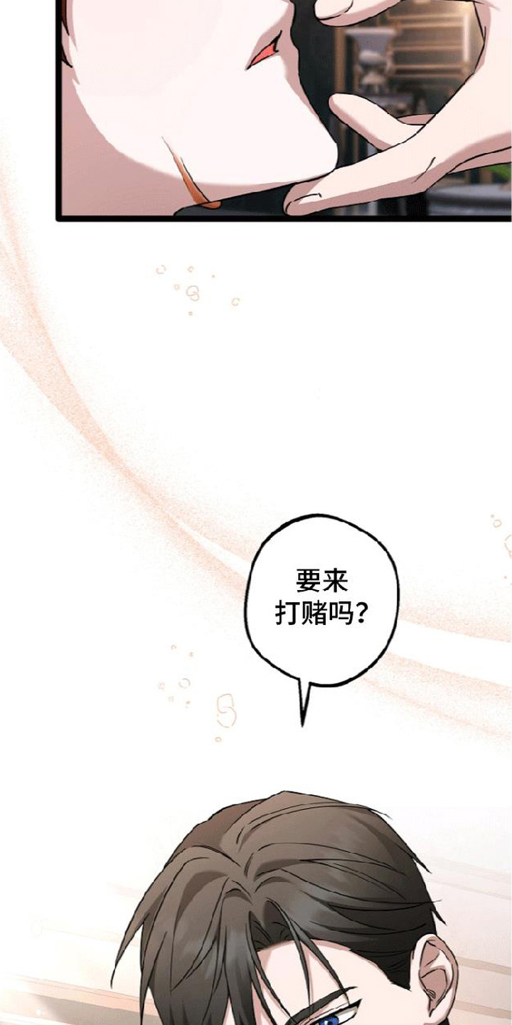 掌心祭司漫画,第5章：打赌2图