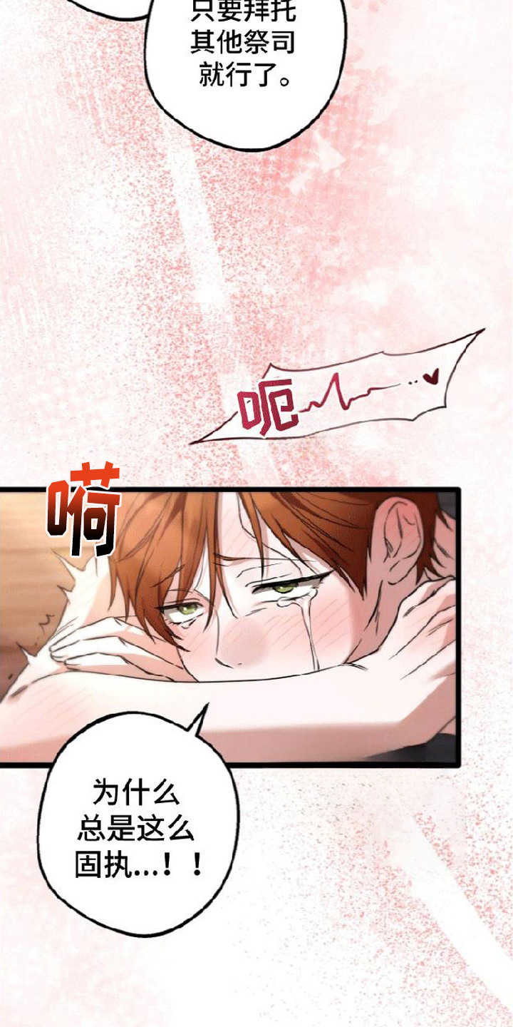 掌心祭司漫画,第13章：固执5图
