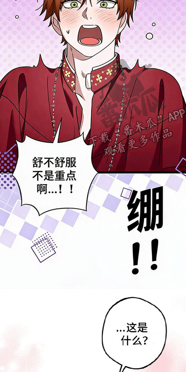 掌心祭司漫画,第4章：凑近2图