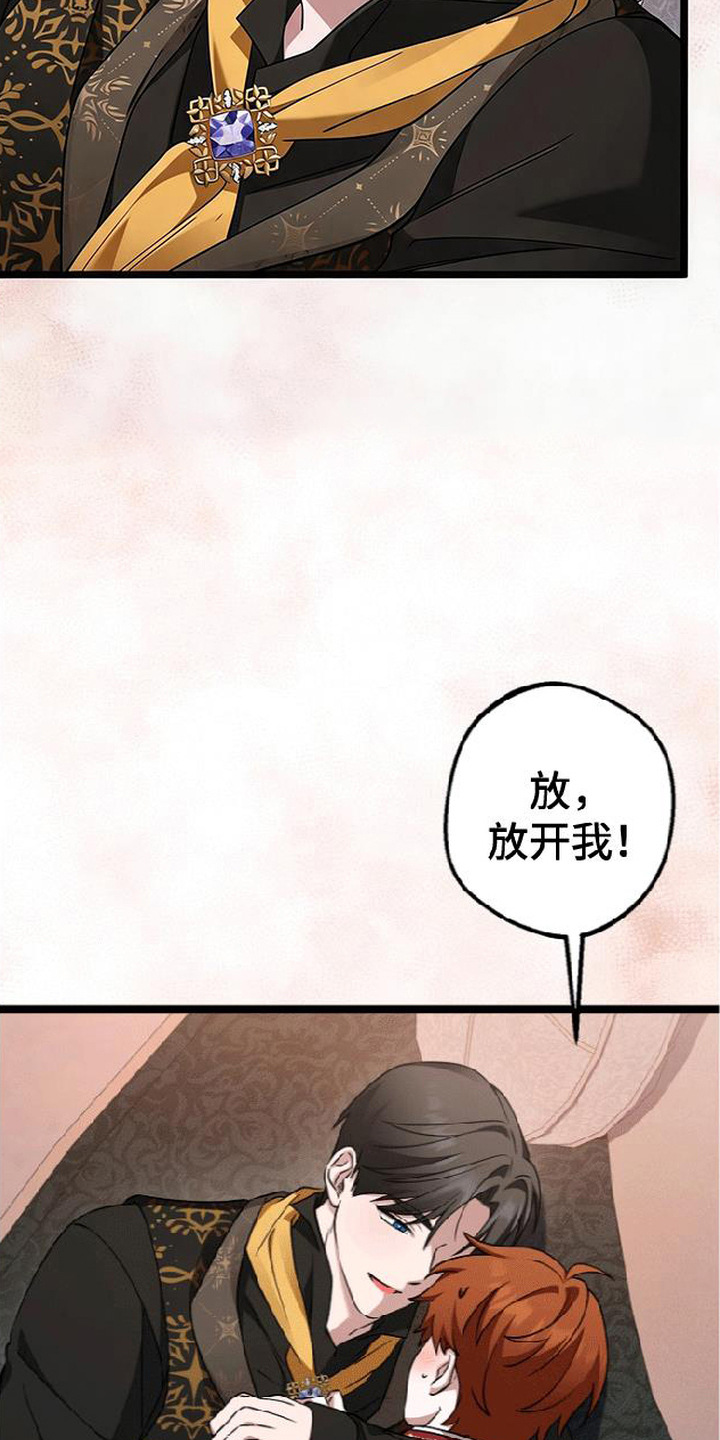 掌心祭司漫画,第4章：凑近2图