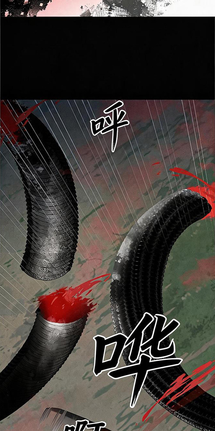 毒吻成契漫画,第2章：白发猎人5图