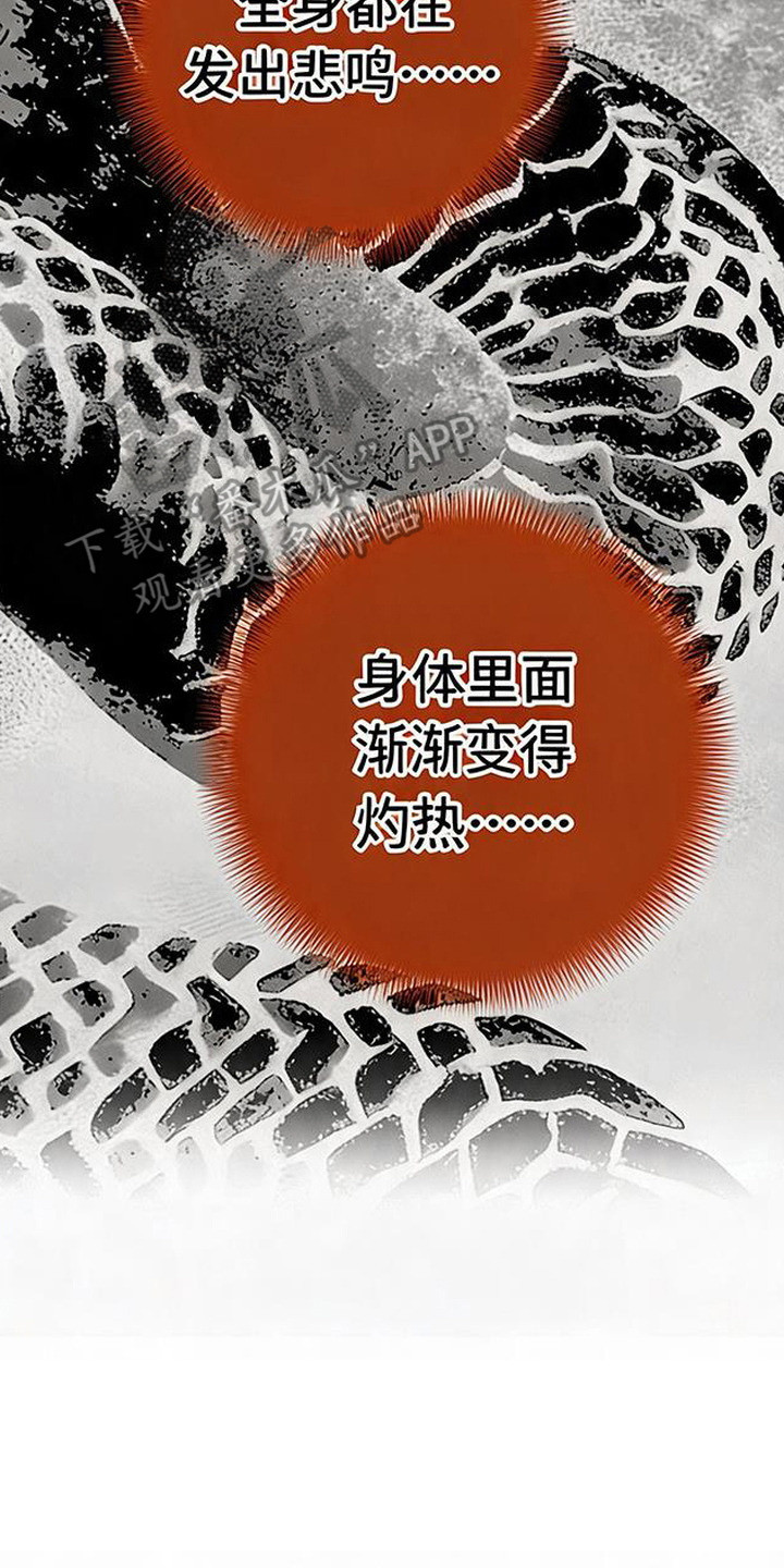 毒吻成契漫画,第5章：悲鸣声2图